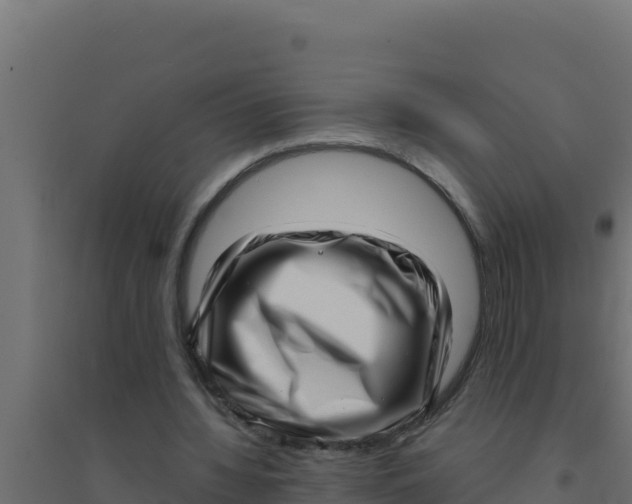 X0000094340436200711241856