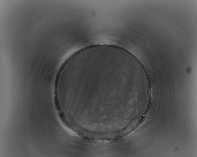 X0000094340438200711241856