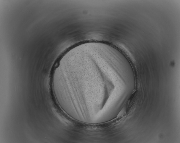 X0000094340439200711241856