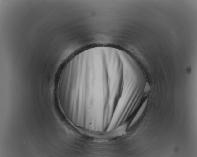 X0000094340440200711241856