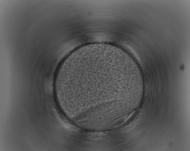 X0000094340443200711241856