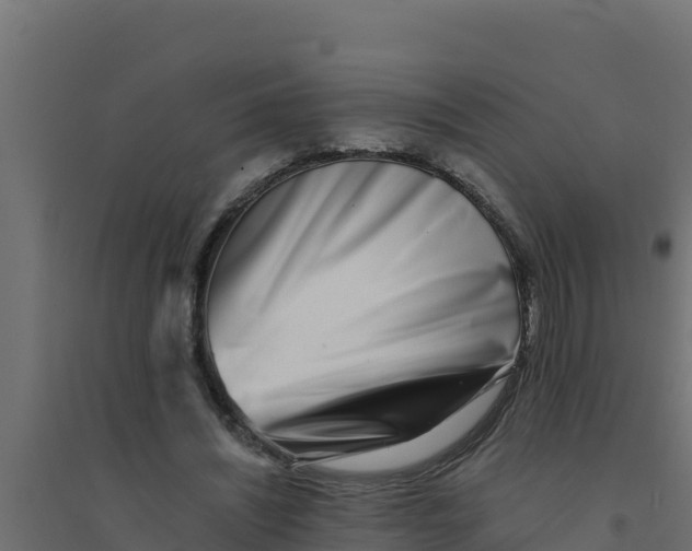 X0000094340444200711241856