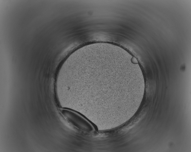 X0000094340445200711241856