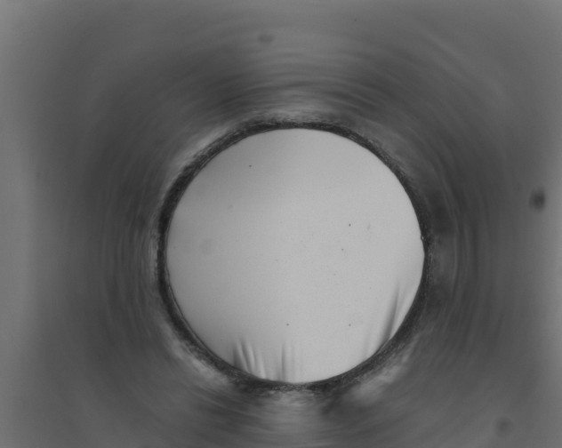 X0000094340446200711241856