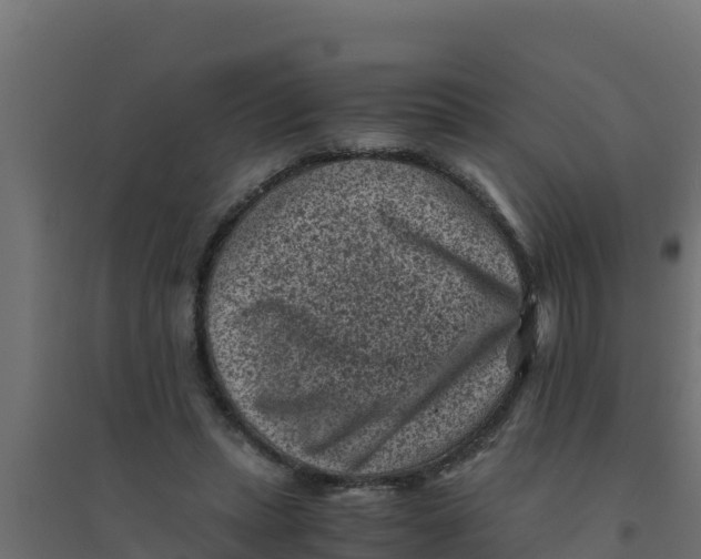 X0000094340447200711241856