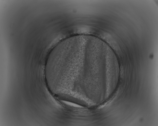 X0000094340449200711241856