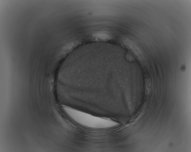 X0000094340451200711241856