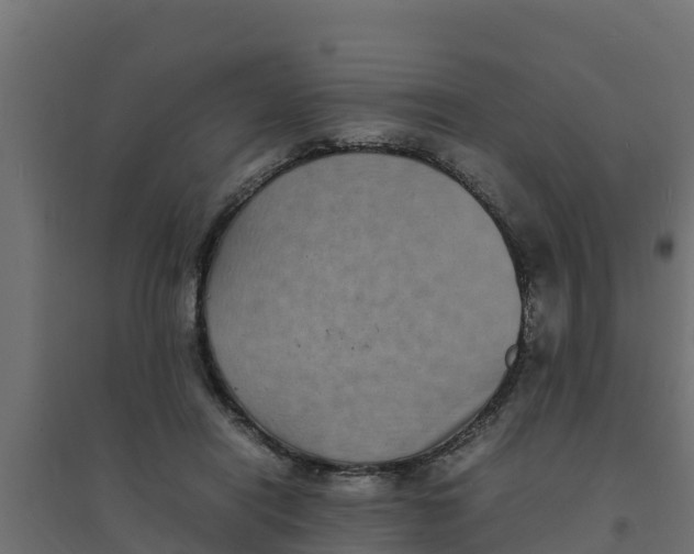 X0000094340454200711241856