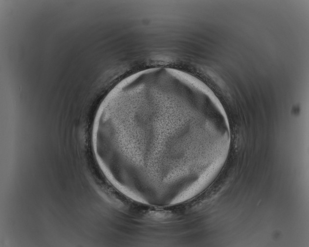 X0000094340455200711241856