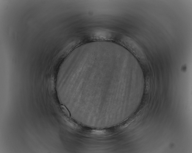 X0000094340457200711241856