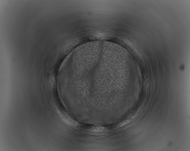 X0000094340459200711241856