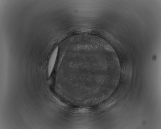 X0000094340462200711241856