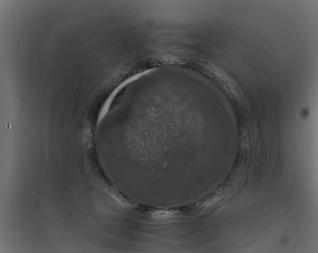 X0000094340465200711241856