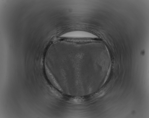 X0000094340466200711241856