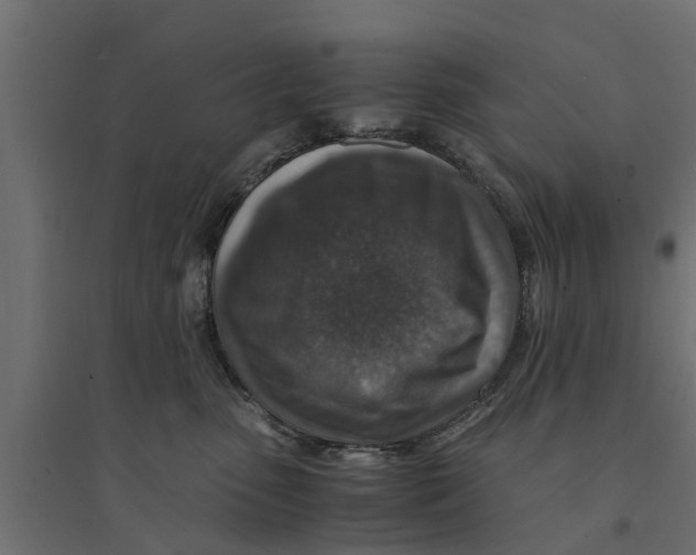 X0000094340475200711241856