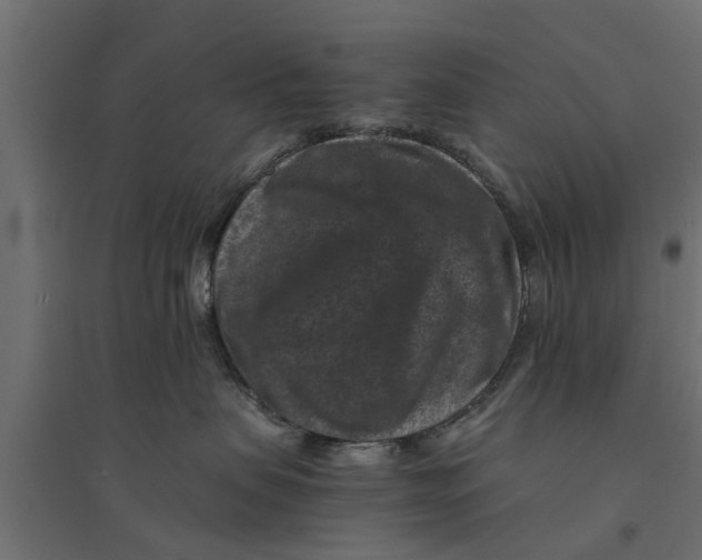 X0000094340479200711241856