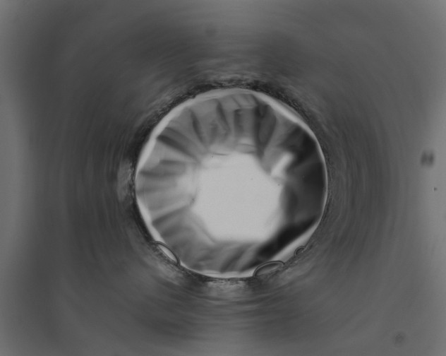 X0000094340480200711241856