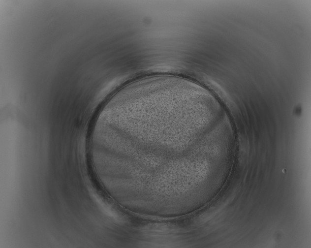 X0000094340482200711241856