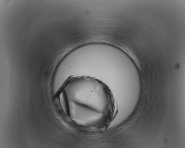 X0000094340485200711241855