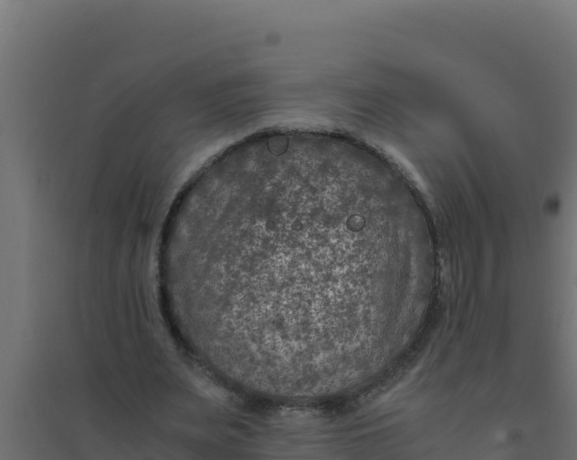 X0000094340487200711241855