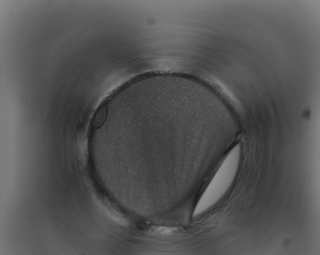 X0000094340488200711241855