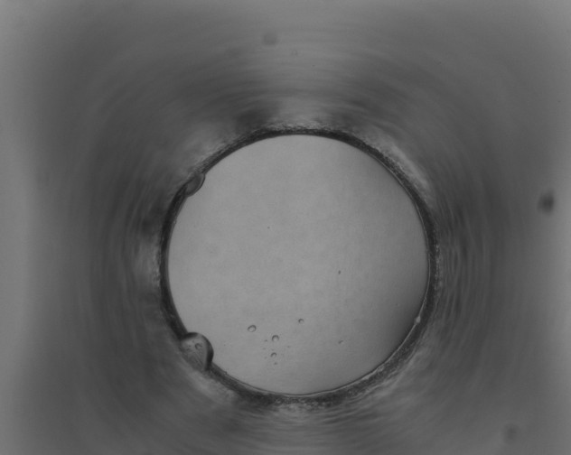 X0000094340489200711241855