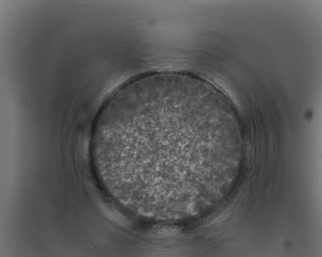 X0000094340491200711241855