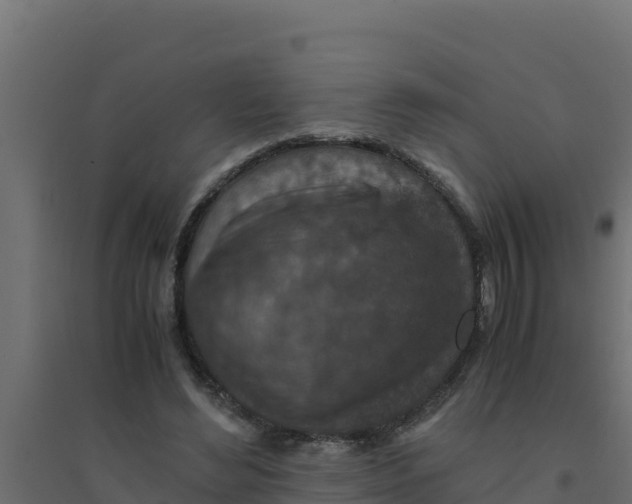 X0000094340492200711241855