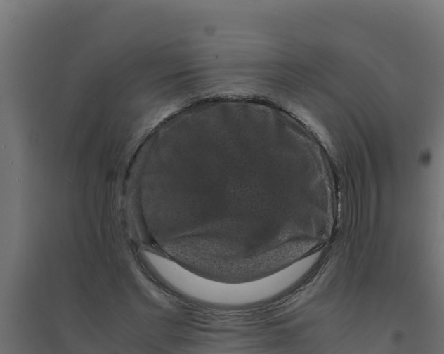 X0000094340493200711241855