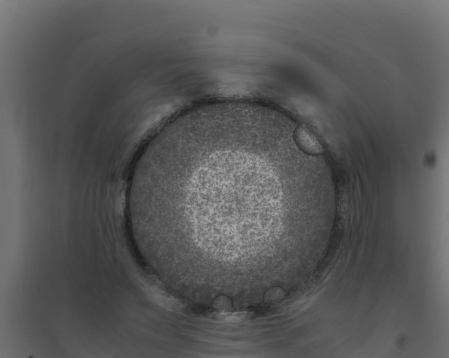 X0000094340495200711241855