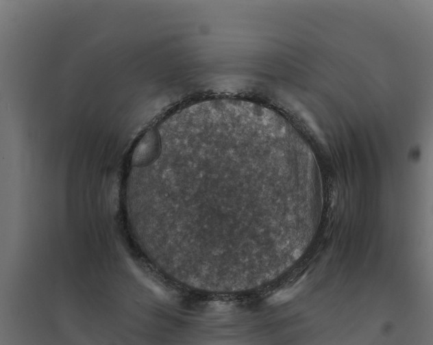 X0000094340496200711241855