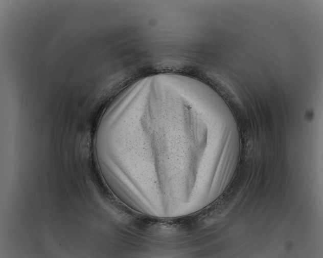 X0000094340498200711241855