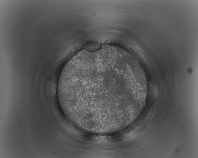 X0000094340499200711241855