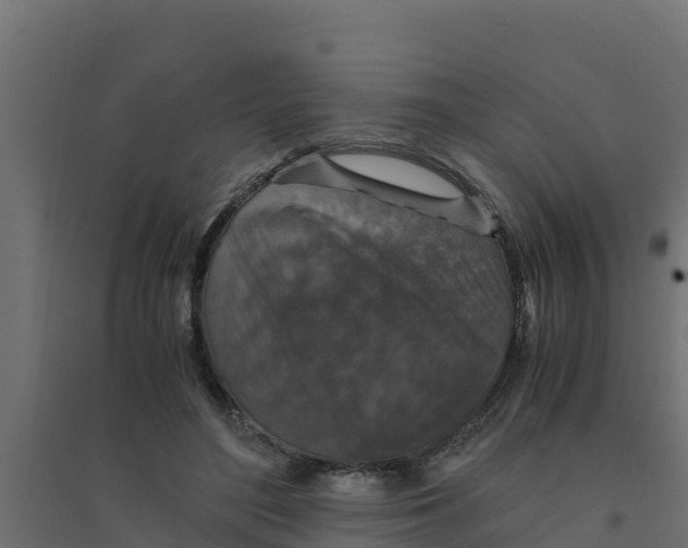 X0000094340500200711241855