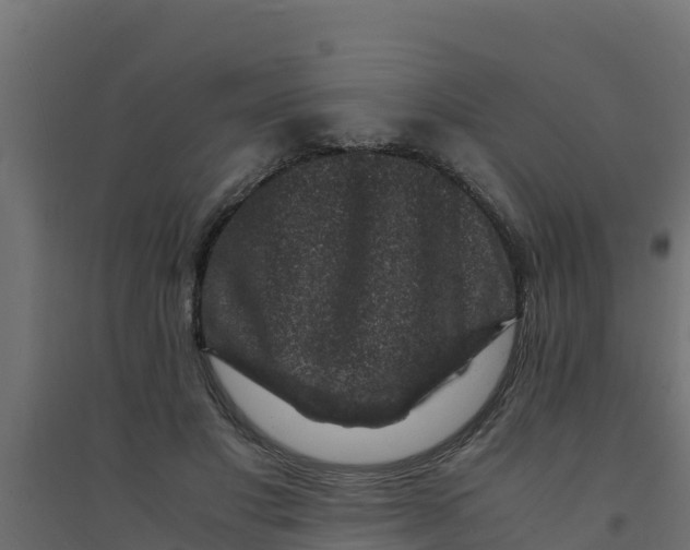 X0000094340501200711241855