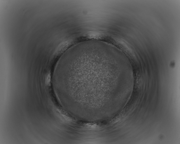 X0000094340502200711241855