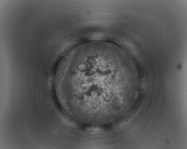 X0000094340503200711241855