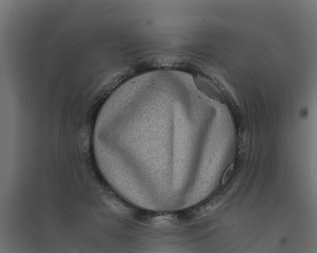 X0000094340505200711241855