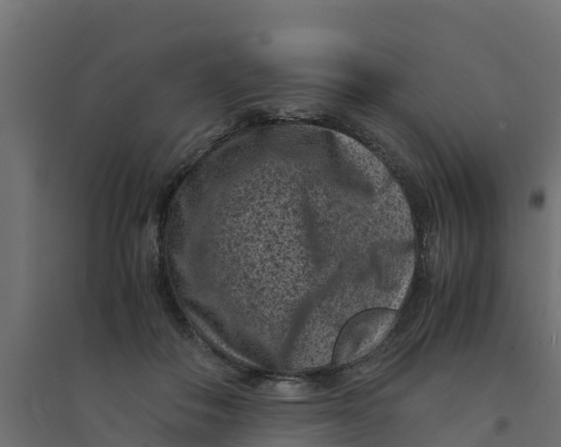 X0000094340506200711241855