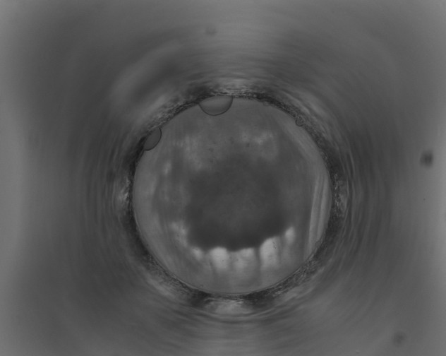 X0000094340507200711241855