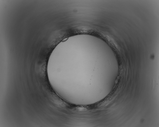 X0000094340509200711241855