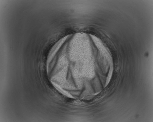 X0000094340515200711241855