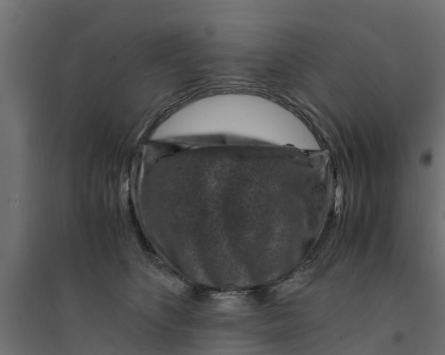 X0000094340516200711241855