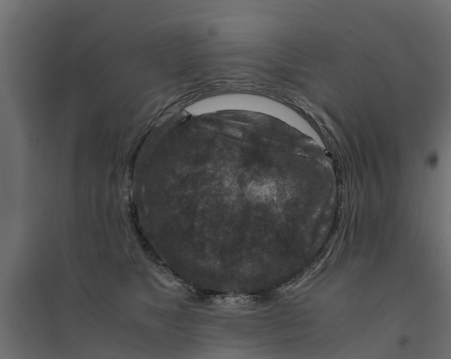 X0000094340517200711241855