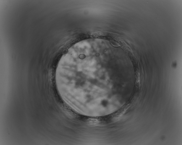 X0000094340519200711241855