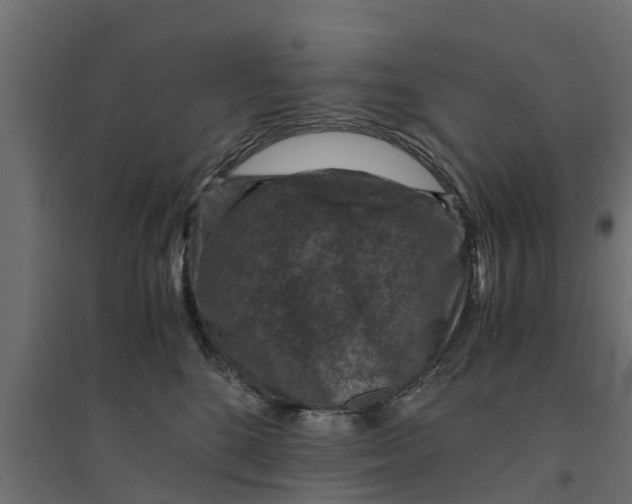 X0000094340520200711241855