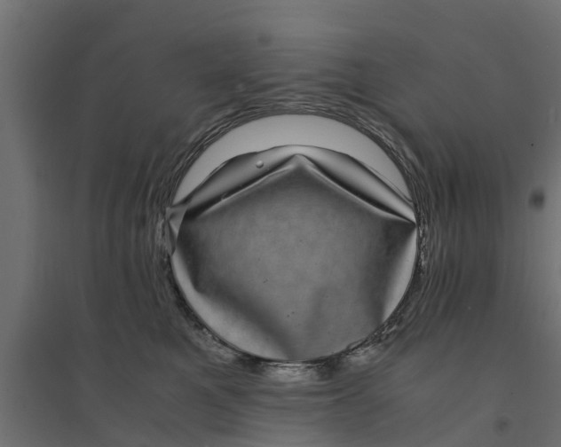 X0000094340521200711241855