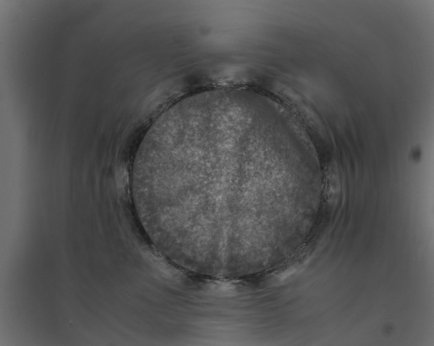 X0000094340523200711241855