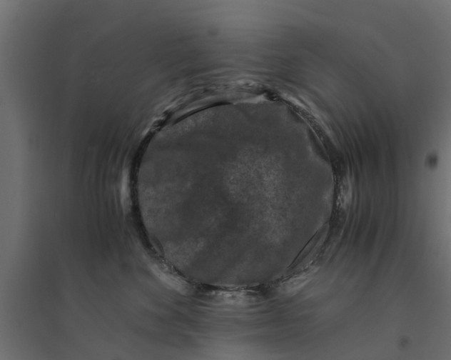 X0000094340524200711241855