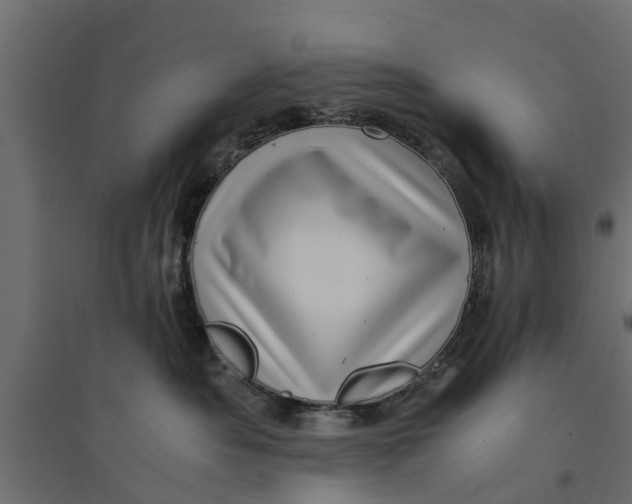 X0000094340525200711241855